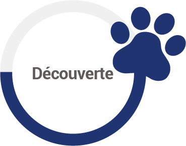 Decouverte - Essai 72h