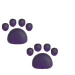 icon paws